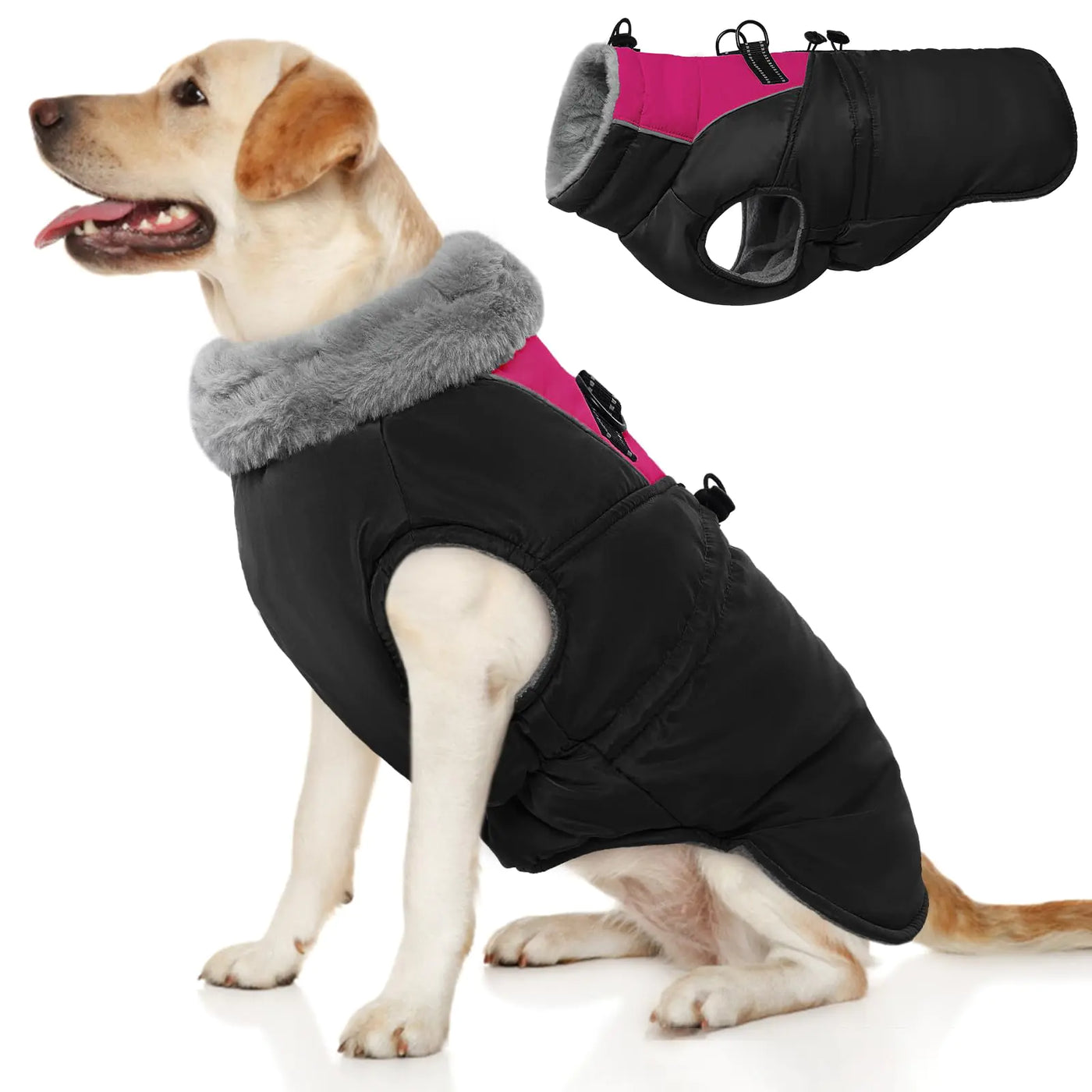 ROZKITCH Dog Jacket for Cold Weather Dog Coat for Autumn Winter with Turtleneck